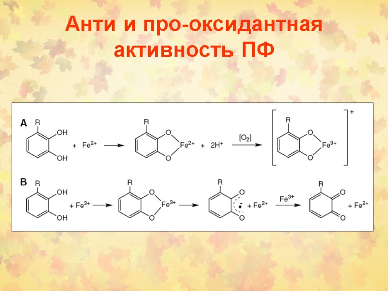 Анти и про-оксидантная активность ПФ